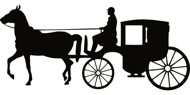 carrige